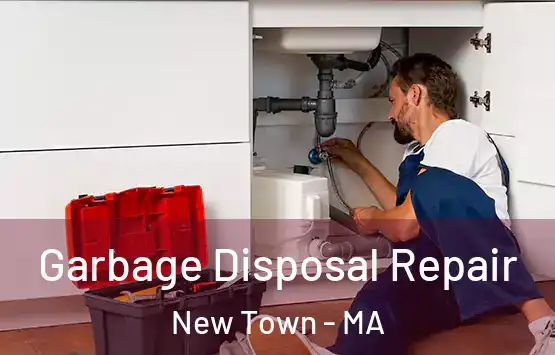  Garbage Disposal Repair New Town - MA