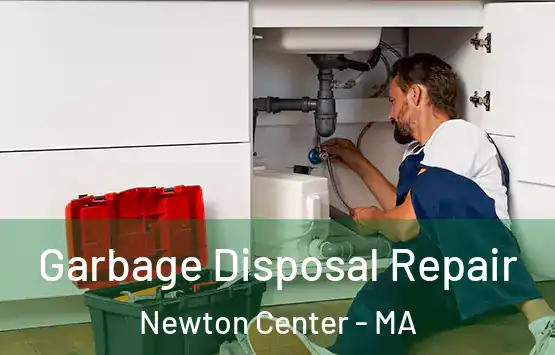  Garbage Disposal Repair Newton Center - MA