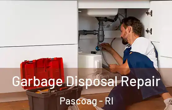  Garbage Disposal Repair Pascoag - RI