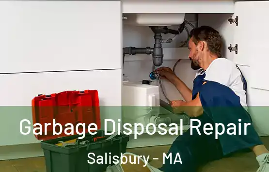  Garbage Disposal Repair Salisbury - MA