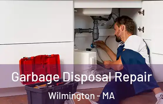  Garbage Disposal Repair Wilmington - MA