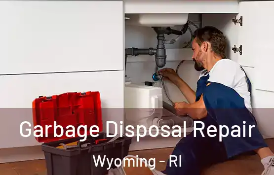  Garbage Disposal Repair Wyoming - RI