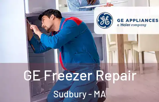  GE Freezer Repair Sudbury - MA
