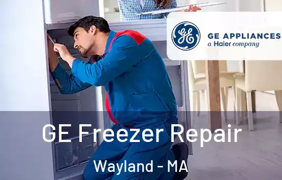  GE Freezer Repair Wayland - MA