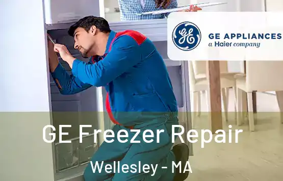  GE Freezer Repair Wellesley - MA