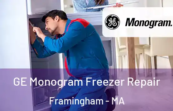  GE Monogram Freezer Repair Framingham - MA