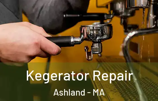  Kegerator Repair Ashland - MA