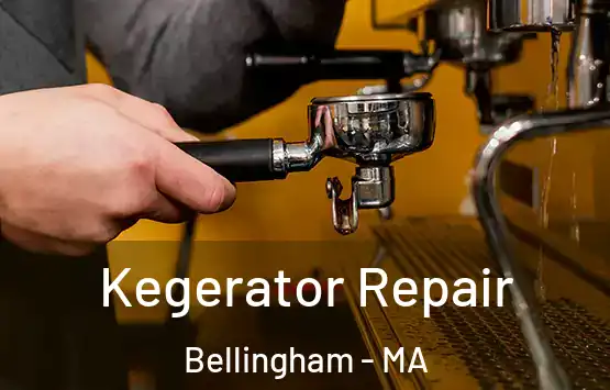  Kegerator Repair Bellingham - MA