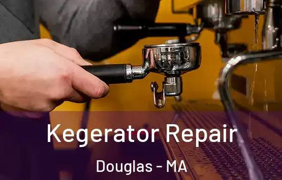  Kegerator Repair Douglas - MA