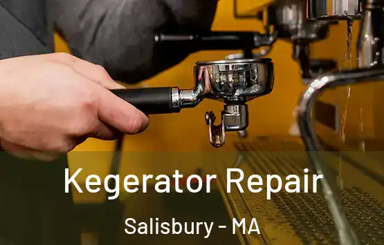  Kegerator Repair Salisbury - MA