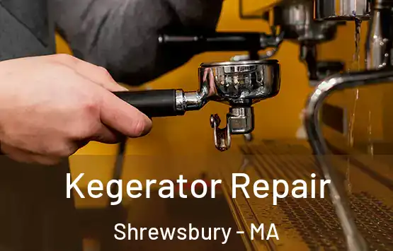  Kegerator Repair Shrewsbury - MA