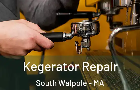  Kegerator Repair South Walpole - MA