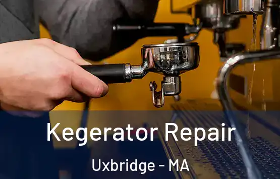  Kegerator Repair Uxbridge - MA