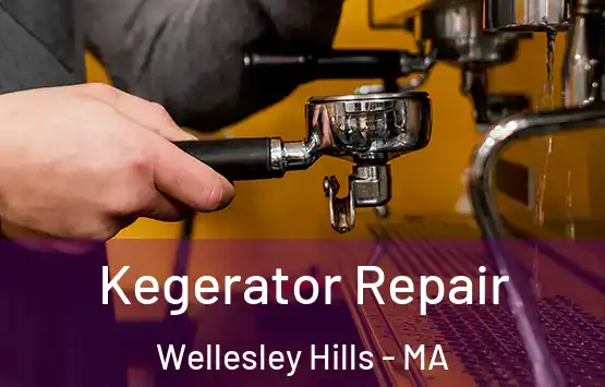  Kegerator Repair Wellesley Hills - MA