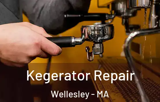  Kegerator Repair Wellesley - MA