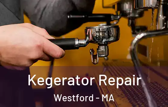  Kegerator Repair Westford - MA