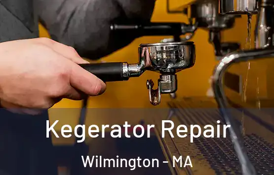  Kegerator Repair Wilmington - MA