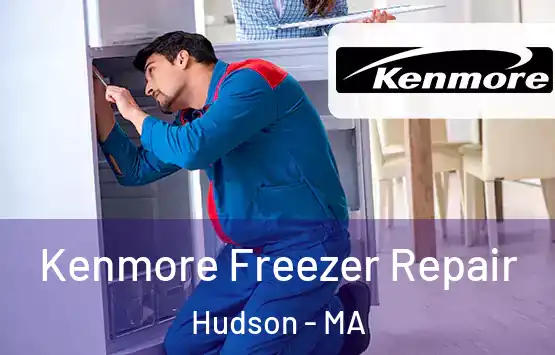  Kenmore Freezer Repair Hudson - MA