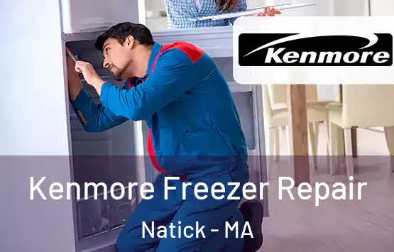  Kenmore Freezer Repair Natick - MA
