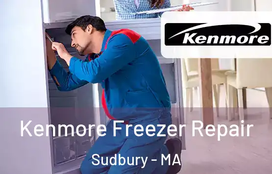  Kenmore Freezer Repair Sudbury - MA