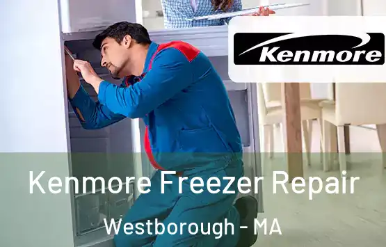  Kenmore Freezer Repair Westborough - MA
