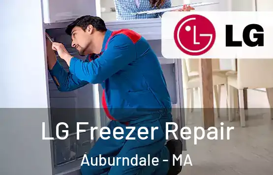 LG Freezer Repair Auburndale - MA