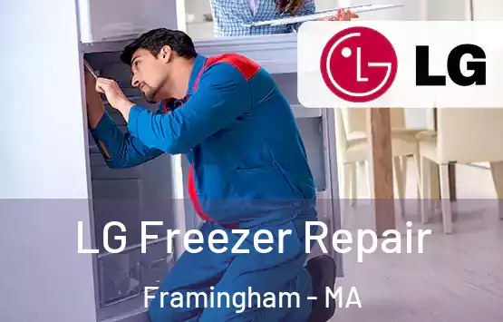  LG Freezer Repair Framingham - MA
