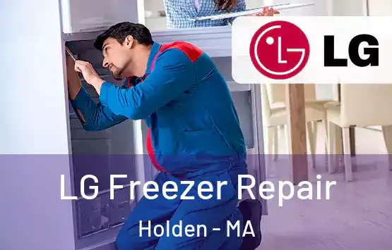  LG Freezer Repair Holden - MA