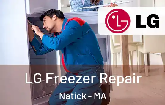  LG Freezer Repair Natick - MA