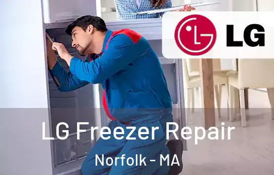  LG Freezer Repair Norfolk - MA