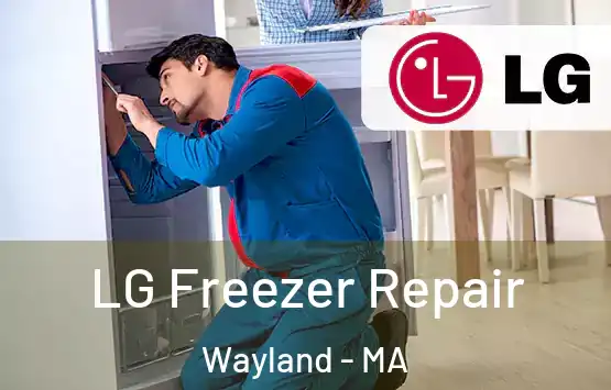 LG Freezer Repair Wayland - MA