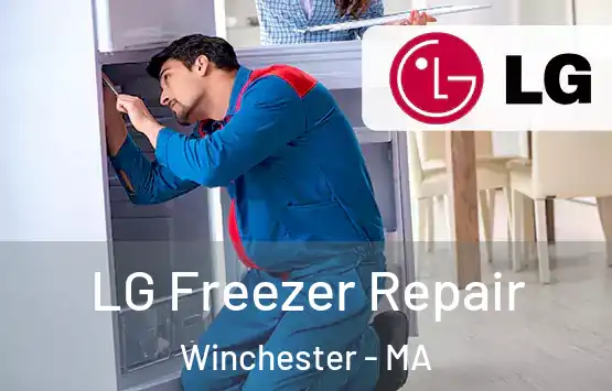  LG Freezer Repair Winchester - MA