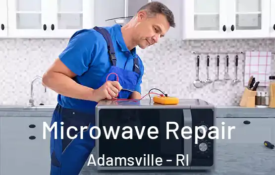  Microwave Repair Adamsville - RI