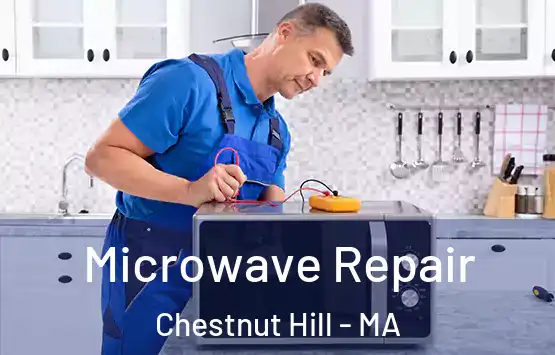  Microwave Repair Chestnut Hill - MA