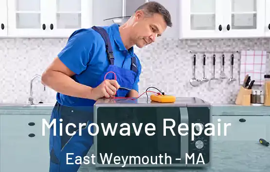  Microwave Repair East Weymouth - MA