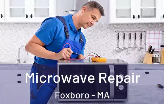  Microwave Repair Foxboro - MA