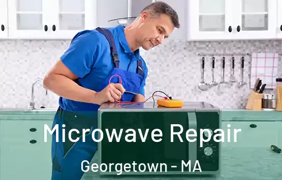  Microwave Repair Georgetown - MA