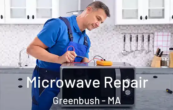  Microwave Repair Greenbush - MA