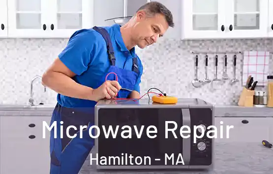  Microwave Repair Hamilton - MA