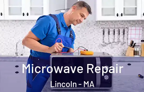  Microwave Repair Lincoln - MA