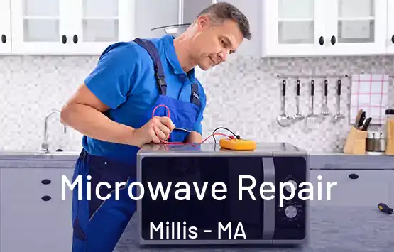  Microwave Repair Millis - MA