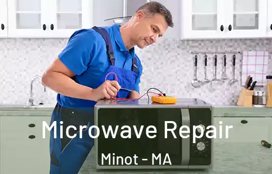  Microwave Repair Minot - MA