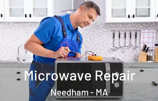 Microwave Repair Needham - MA