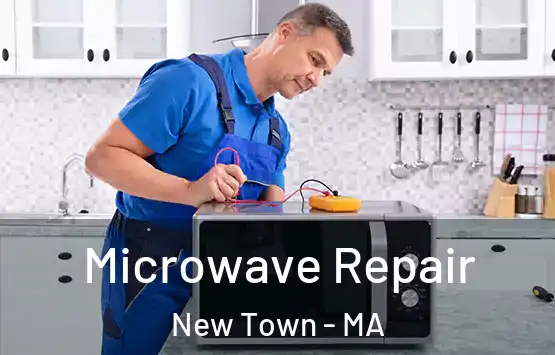  Microwave Repair New Town - MA