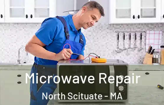  Microwave Repair North Scituate - MA