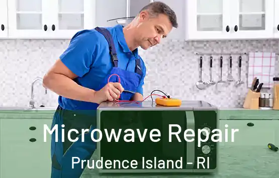  Microwave Repair Prudence Island - RI