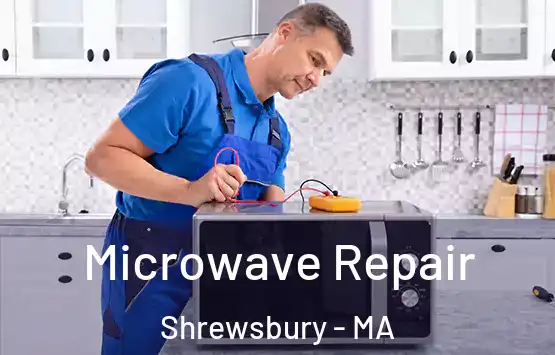  Microwave Repair Shrewsbury - MA