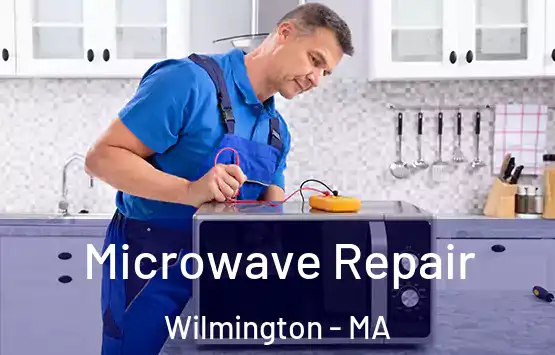  Microwave Repair Wilmington - MA