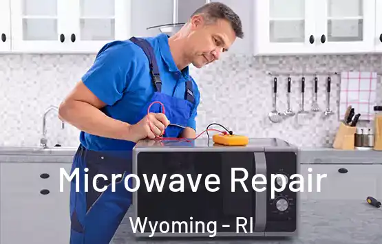  Microwave Repair Wyoming - RI