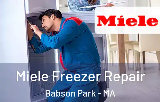  Miele Freezer Repair Babson Park - MA